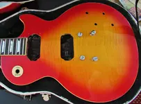 bridge, bacon naked les paul 003.webp