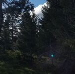 20170515_165339 lens flare phone camera.jpg