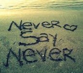 Never Say Never!.jpg