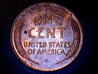 1957 d Wheat Penny BACK.jpg