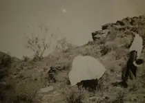 A. Ruth found on Peters Mesa (Gassler).webp