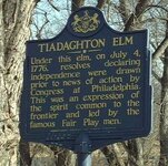 tiadahton elm 2.JPG