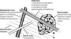 gold veins.webp