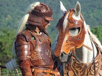 0f94c96b1a8beeb0f3dcd7f3426d7532--costumes-for-horses-leather-armor.jpg