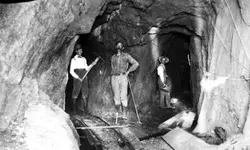 Hard-Rock-Miners-blog.webp