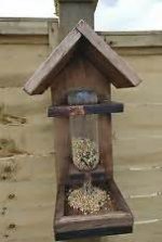 bird feeder.jpg