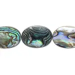 paua shell.webp