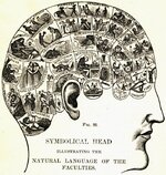 phrenology_chart.jpg