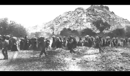 Yaqui prisoners after battle.webp