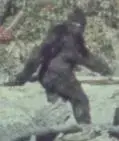 bigfoot.webp