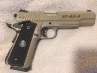 kimber2.webp