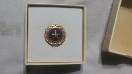 gold star pin.jpg