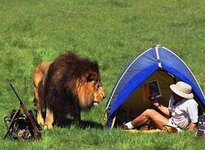 20170909_lion-comes-to-visit-hunters-tent.jpg