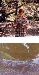 pet gator.jpg