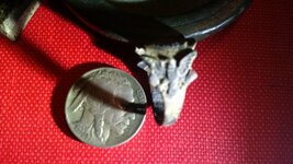 trade weight eagle ring 007.jpg