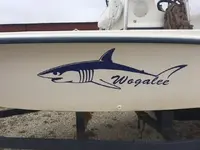 boat2.webp