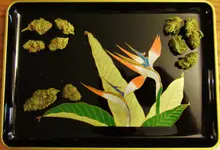 weed tray 004.webp