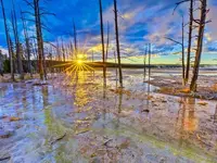 Lower Geyser Basin, Yellowstone N.P., Wyoming.webp