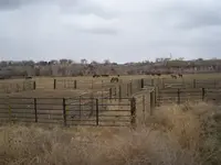 Upper pasture incoming storm.webp