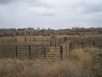 Upper pasture incoming storm.jpg