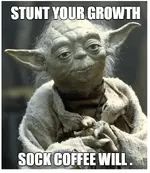 Sock Coffe stunting growth.webp