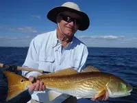 Redfish.webp