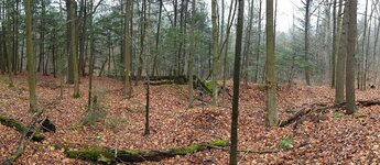 WP_20171204_12_01_58_Panorama (2).jpg