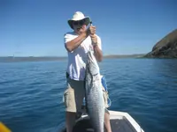 Big Mackeral 2.webp