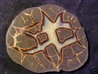 Septarian.jpg