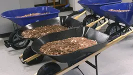 Pennies.webp