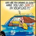 why-are-you-driving-so-slow-have-you-no-stress-in-your-life-funny-comics.webp