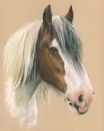 horse-pastel-portrait-drawing-1a.webp