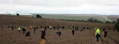 Palmer-metal-detecting-competition.webp