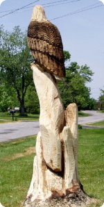 Eagle_Stump_Carving_2.jpg