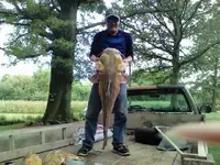 54 pound flathead.webp