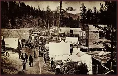 deadwoodsd.webp