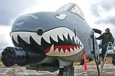 A10 Warthog.webp