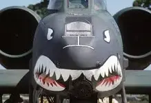 another A10.webp