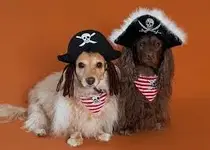 Pirate Puppies.webp