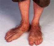 Hobbit_feet.jpg