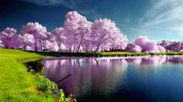 beautiful-nature-spring-wallpaper-1.jpg