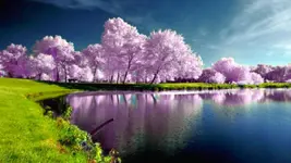 beautiful-nature-spring-wallpaper-1.webp