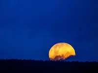 super moon rising.webp