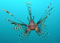 800px-Pterois_volitans_Manado-e.webp