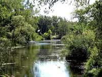 pond-at-tifft-nature-preserve-buffalo-new-york-rose-santuci-sofranko.webp