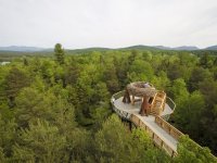 wild-walks-bald-eagles-nest-from-the-air_18749601205_o-1366x1025.jpg