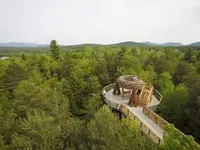 wild-walks-bald-eagles-nest-from-the-air_18749601205_o-1366x1025.webp