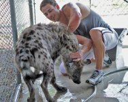 jake the hyena and bryan3.jpg