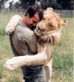 the lion whisperer2.jpeg