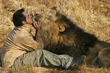 the lion whisperer4.webp